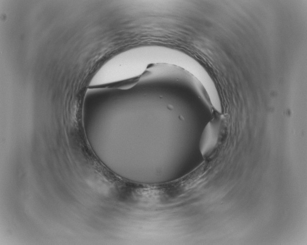 X0000088210219200706051305