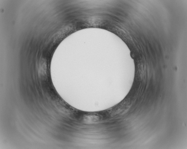 X0000088210220200706051305