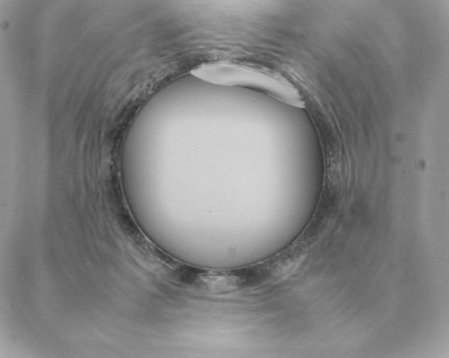 X0000088210221200706051305