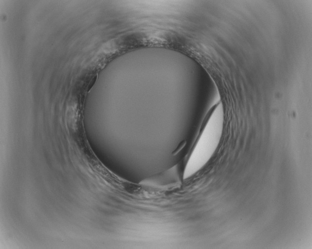 X0000088210223200706051305