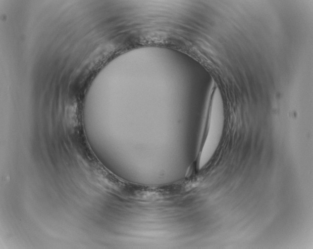 X0000088210224200706051305