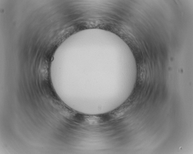 X0000088210226200706051305