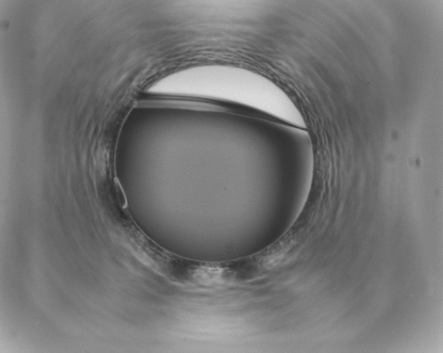 X0000088210227200706051305