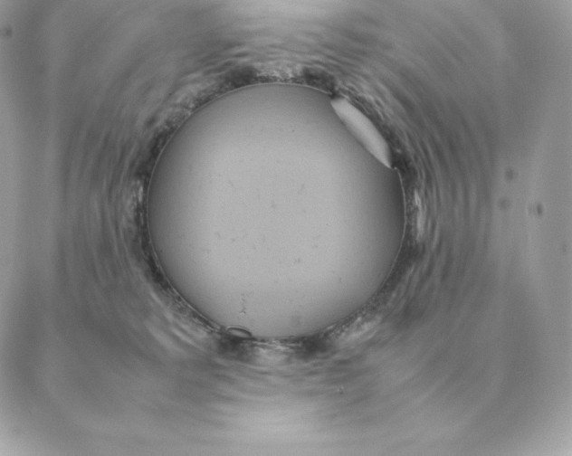 X0000088210229200706051305