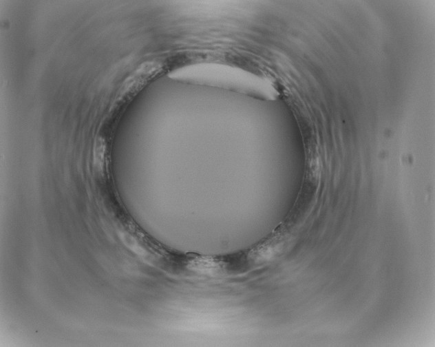 X0000088210231200706051305