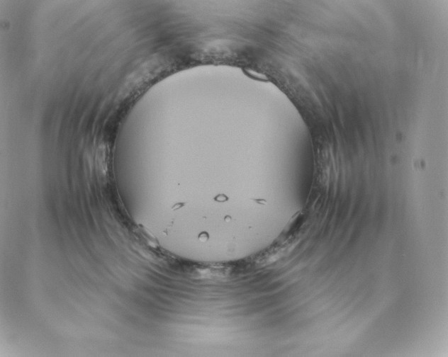 X0000088210232200706051305