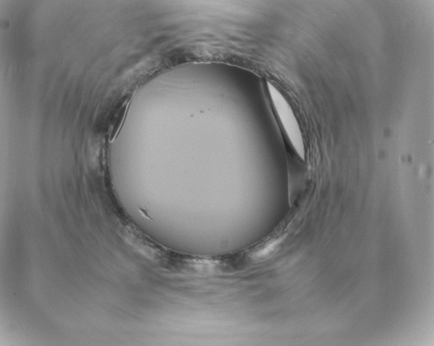 X0000088210233200706051305