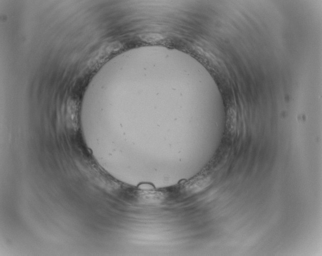 X0000088210234200706051305