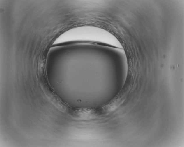 X0000088210235200706051305