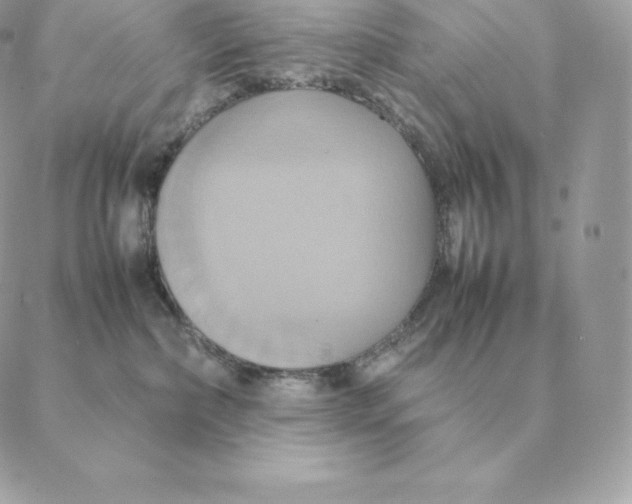 X0000088210236200706051305