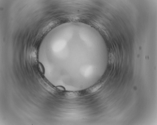 X0000088210238200706051305