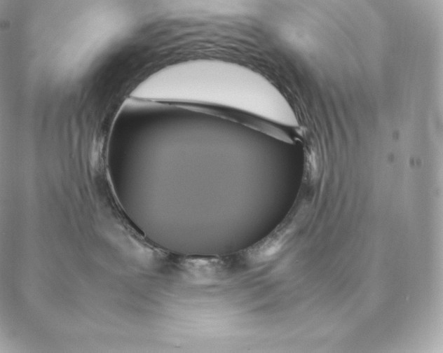 X0000088210239200706051305