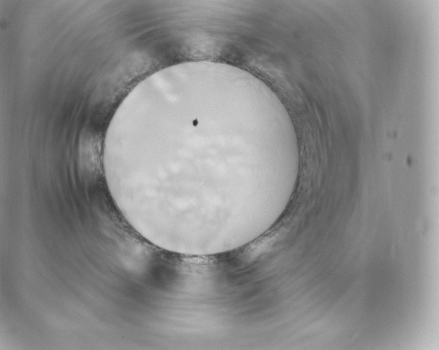 X0000088210240200706051305