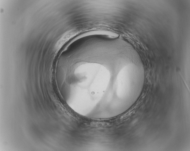 X0000088210242200706051304