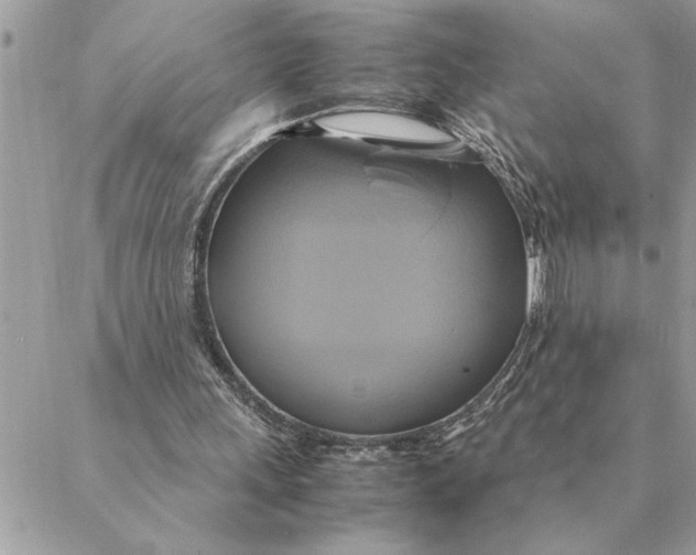 X0000088210243200706051304