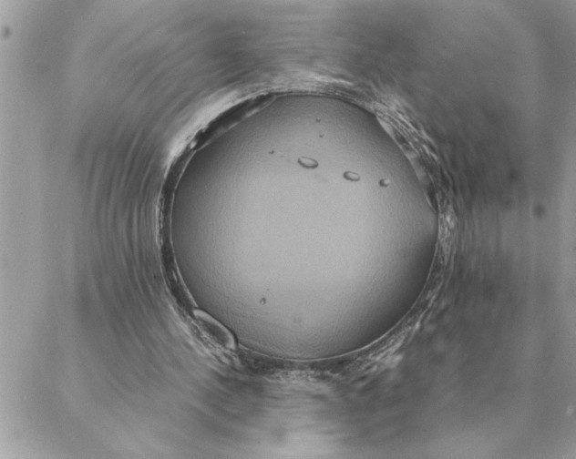 X0000088210244200706051304