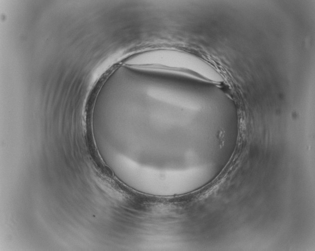 X0000088210246200706051304