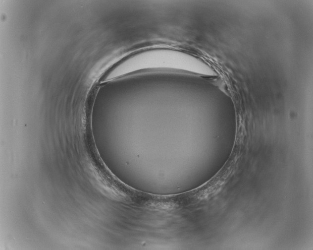 X0000088210247200706051304