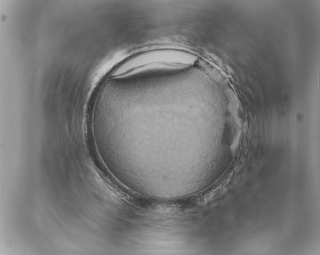 X0000088210248200706051304