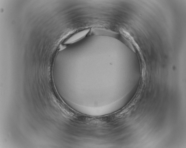 X0000088210249200706051304