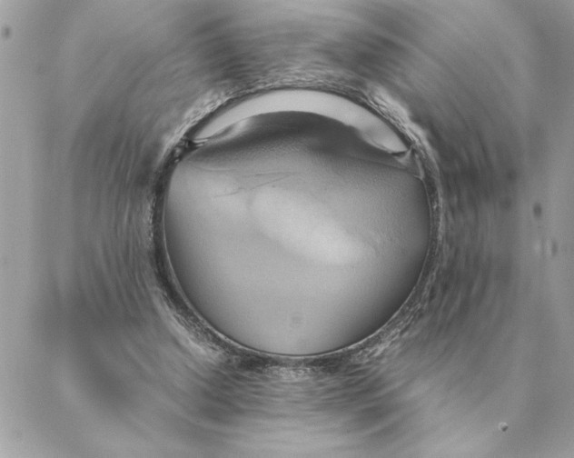 X0000088210250200706051304