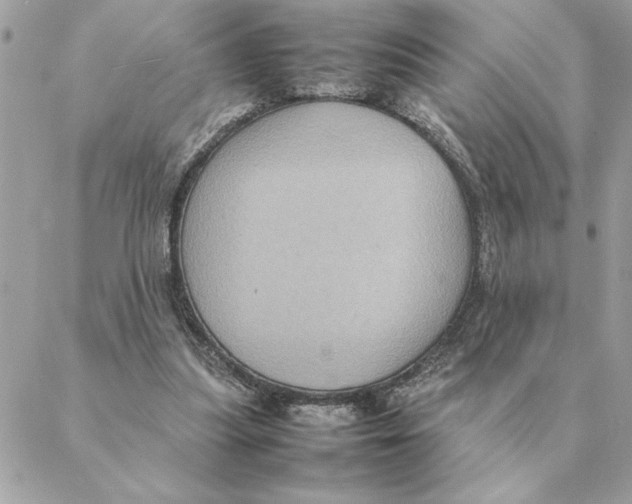 X0000088210251200706051304