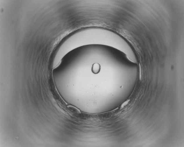 X0000088210252200706051304