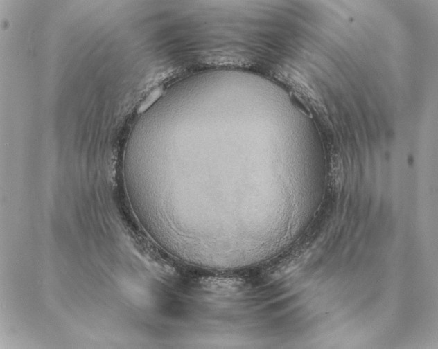 X0000088210255200706051304