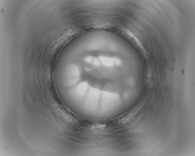 X0000088210257200706051304