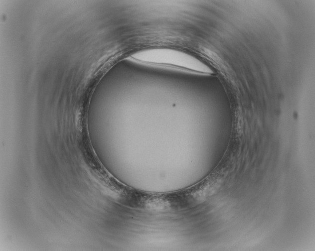 X0000088210258200706051304