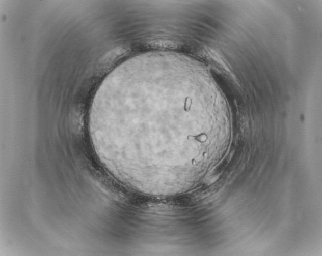 X0000088210259200706051304