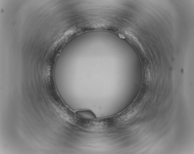 X0000088210260200706051304