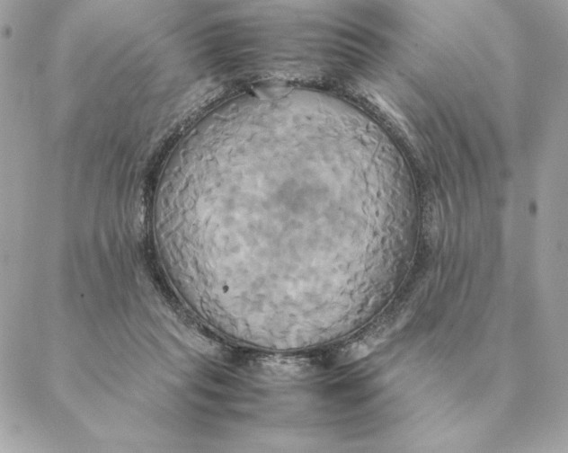 X0000088210261200706051304