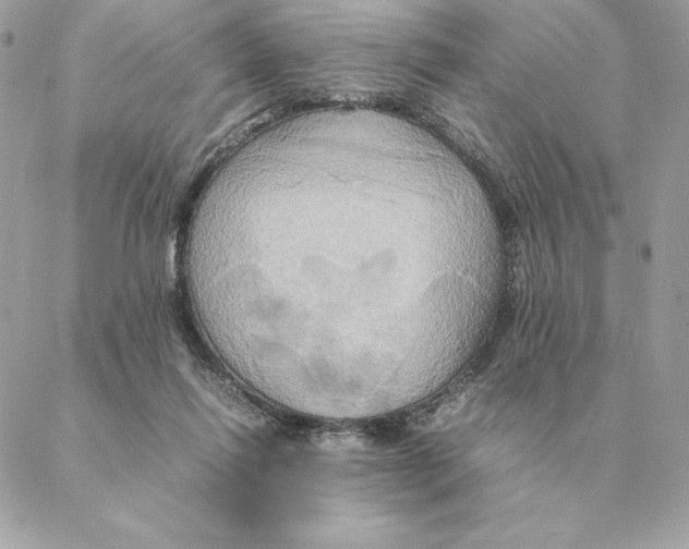 X0000088210262200706051304