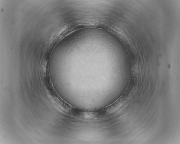 X0000088210264200706051304