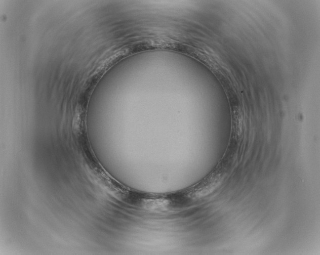 X0000088210266200706051304