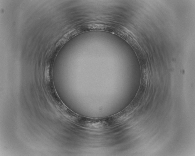 X0000088210267200706051304