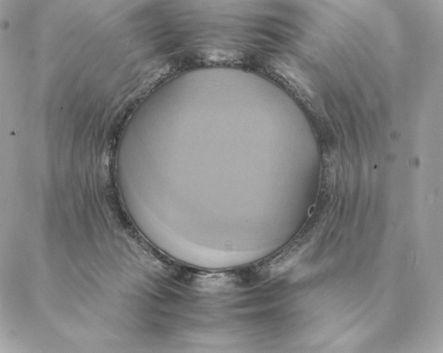 X0000088210269200706051304