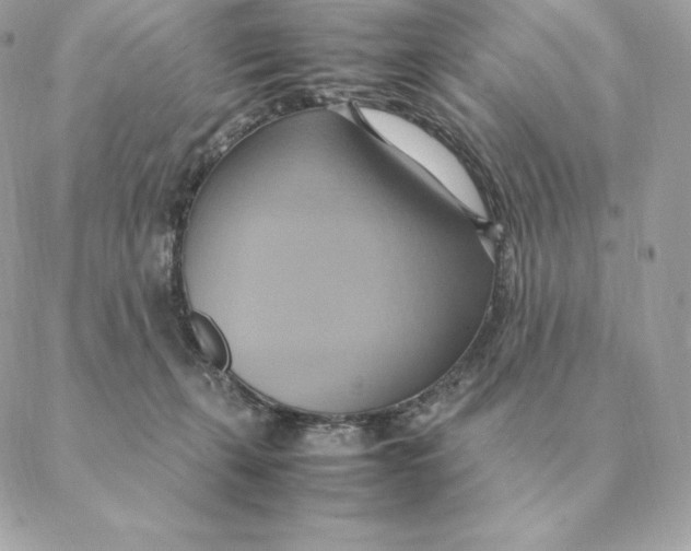 X0000088210271200706051304