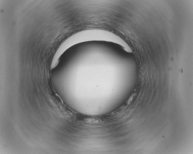 X0000088210272200706051304