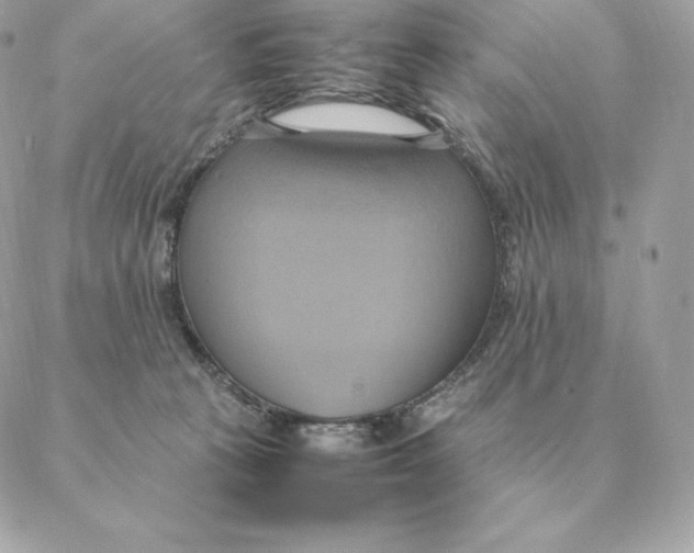 X0000088210273200706051304