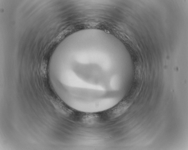 X0000088210274200706051304