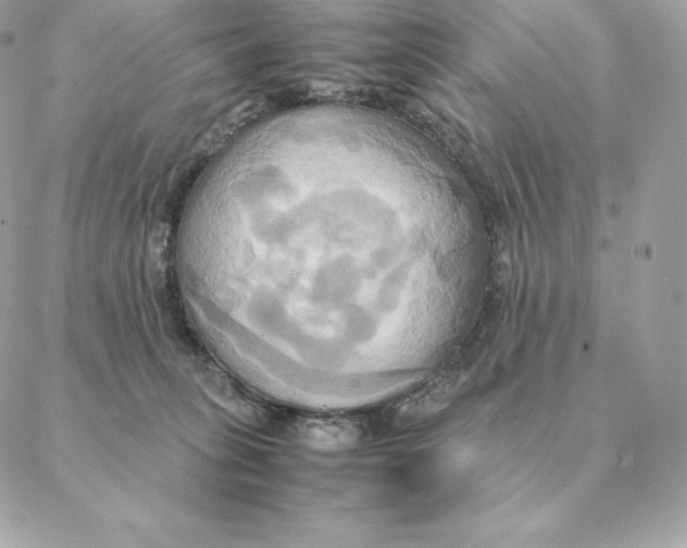 X0000088210275200706051304