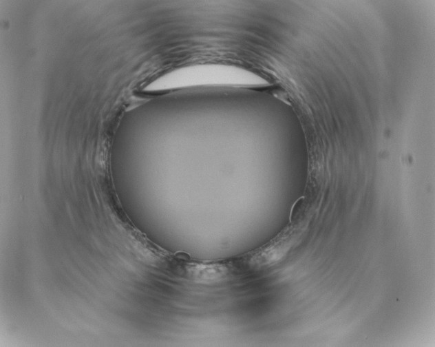 X0000088210277200706051304