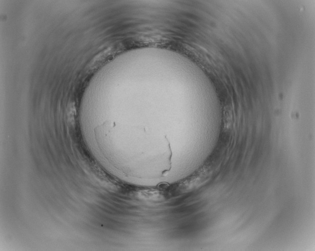 X0000088210279200706051304