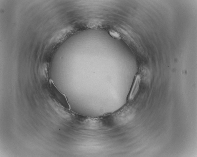 X0000088210280200706051304