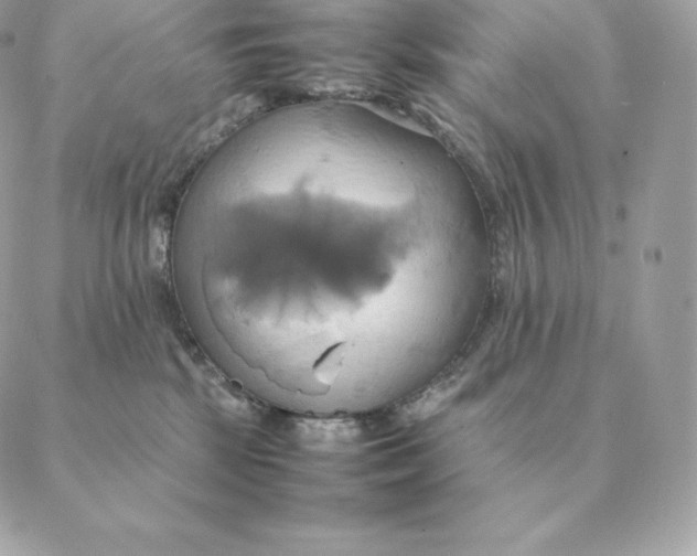 X0000088210281200706051304