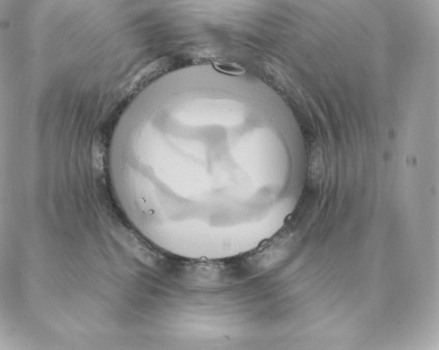 X0000088210282200706051304