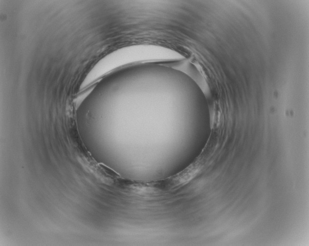 X0000088210284200706051304