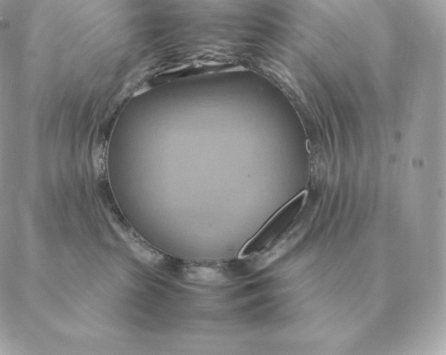 X0000088210285200706051304